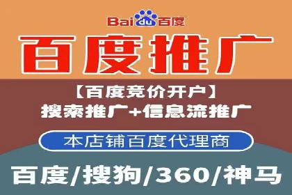 关键词竞价排名实战案例精选解析